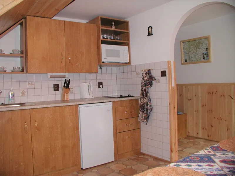 Společná kuchyň s lednicí a mikrovlnnou troubou